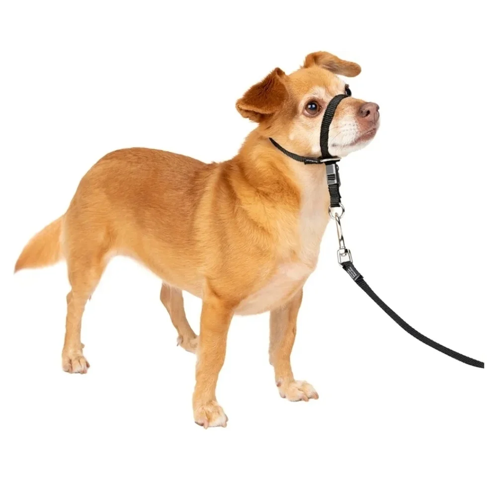 Pet Safe Gentle Leader Headcollar black size petite under 5lbs.